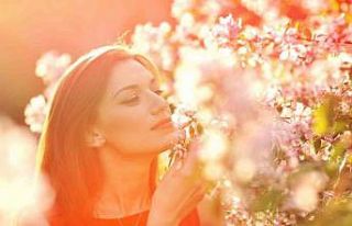 Polen alerjisi olanlar dikkat