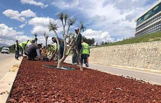Refüj ve kavşaklar yeniden düzenleniyor