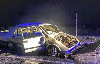 Refüje çarpan otomobilin sürücüsü yaralandı