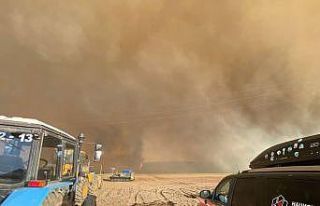 Rusya’nın Ural bölgesindeki orman yangınlarında...