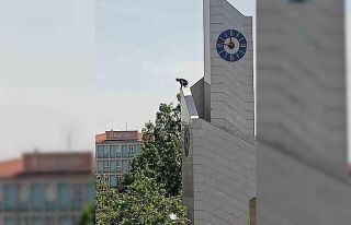 Saat kulesine tırmanan gencin tehlikeli oyunu kameraya...