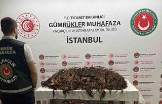Sabiha Gökçen Havalimanı’nda 68 kilo insan saçı...