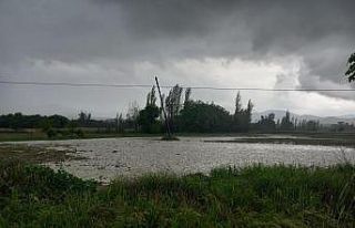 Sağanak ve dolu yağışı tarım arazilerini vurdu