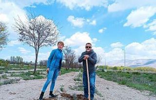 Sahipsiz hayvanlar için fidan diktiler
