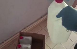 Sahte alkol üreten baba ve 2 oğlu yakalandı