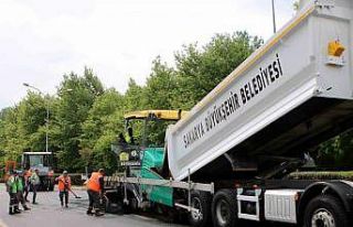 Sakarya Büyükşehir şehrin girişinde yenileme...