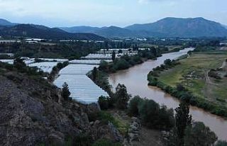 Sakarya nehrinin debisi arttı, suyu kahverengiye...