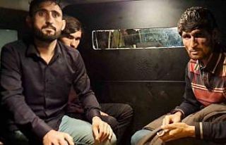 Sakarya’da 4 kaçak göçmen yakalandı