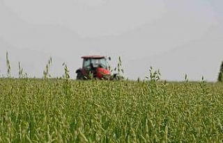 Saray’da ’tarla günü’ düzenlendi