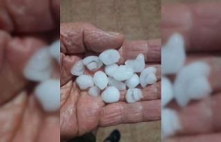 Sarıgöl’de dolu zararı