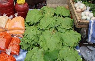 Sarmaların vazgeçilmezi asma yaprakları tezgahlarda...