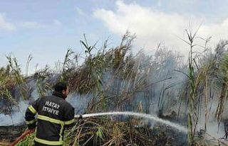 Sazlık alanda çıkan yangın söndürüldü