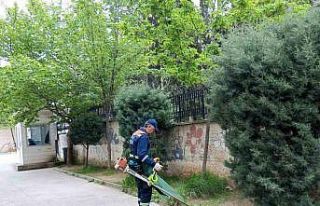 Seçim öncesi okul bahçelerine bakım