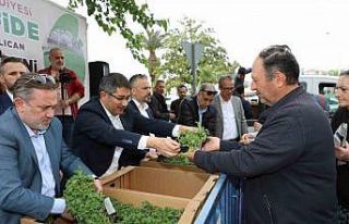 Şehzadeler Belediyesi vatandaşlara 23 bin fide dağıttı