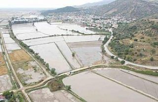 Sel, tarlaları sular altında bıraktı