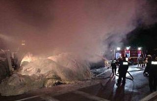 Seyir halindeki kamyon alev alev yandı