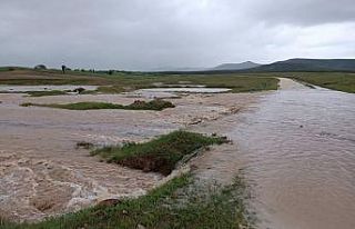 Seyitgazi sele teslim oldu