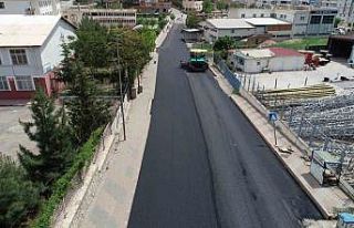 Siirt Valisi Hacıbektaşoğlu talimat verdi, kentte...