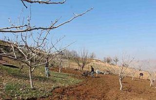 Siirt’te ÇKS başvuru süresi 8 Mayıs’ta sona...