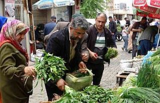 Siirt’te kenger ve sirik otu tezgahlarda yerini...