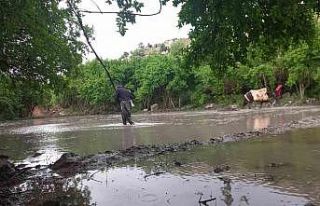 Siirt’te köylüler yıllardır hayvan gücüyle...