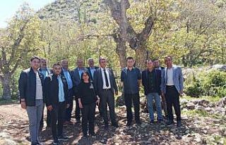 Siirt’te kuru fasulye yetiştirilecek