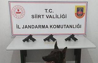 Siirt’te silah ve mühimmat kaçakçılığı yapan...
