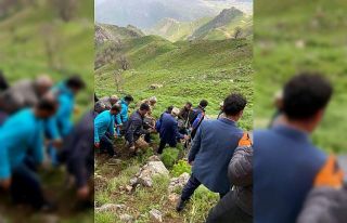 Siirt’te yaban bitkisi toplarken kayalıklardan...