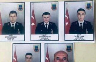 Şırnak şehitleri memleketlerine uğurlandı