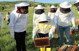 Şırnak’ta bal üreticilerine verilen destek yüzleri...