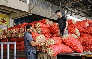 Soğan fiyatları gündemden düşecek