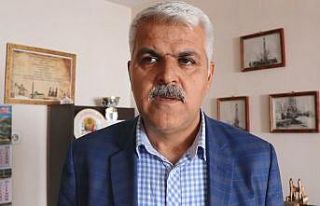 Sokak köpekleri koyunlarını telef etti belediye...