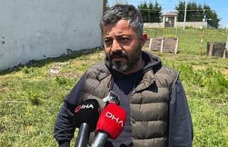 Sokak köpeklerinin saldırdığı 14 kurbanlık telef...