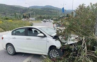 Söke’de lastiği patlayan araç refüjdeki aydınlatma...