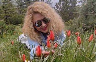 Spil Dağı Milli Parkı lalelerle kaplandı