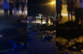 Sürüye otomobil çarptı, 20 koyun telef oldu