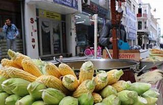 Süt mısırları tezgaha indi