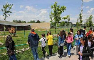 Talas’ın öğrencileri ‘şehri tanıyor’