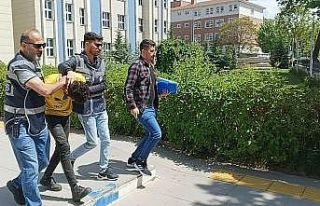 Talihsiz kadın katilinin elini ısırdı, ölümden...