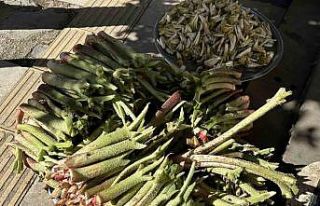 Tam bir şifa deposu: Doğunun muzu ’ışkın’...