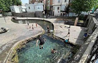 Tarihi Anzele suyunda havaların ısınmasıyla balıkların...