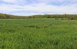 Tarım arazilerinde taban patlatmasının önemi