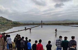 Tarım öğrencileri çeltik ekimini gözlemledi
