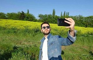 Tarla adeta sarıya boyandı, görsel şölen oluşturdu