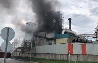 Tekirdağ’da kereste fabrikasında yangın