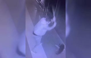 Temizlik süpürgesi ile önce sever gibi yaptı sonra...