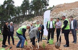 Terk edilmiş mermer ocağı rehabilite edilerek ağaçlandırıldı
