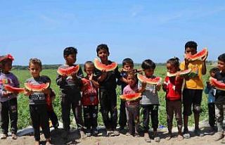 Tescilli Adana karpuzu dünya sofralarını da süslüyor