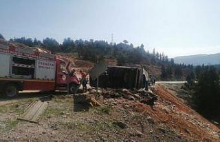 Tır devrildi, 60 hayvan telef oldu