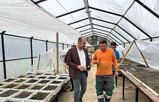 Tosya Belediyesi ilçeyi botanik bahçesine kavuşturacak